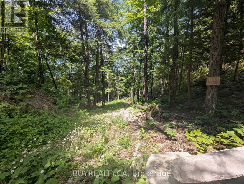 2318 Sherwood Forest Lane — photo 4 of 24
