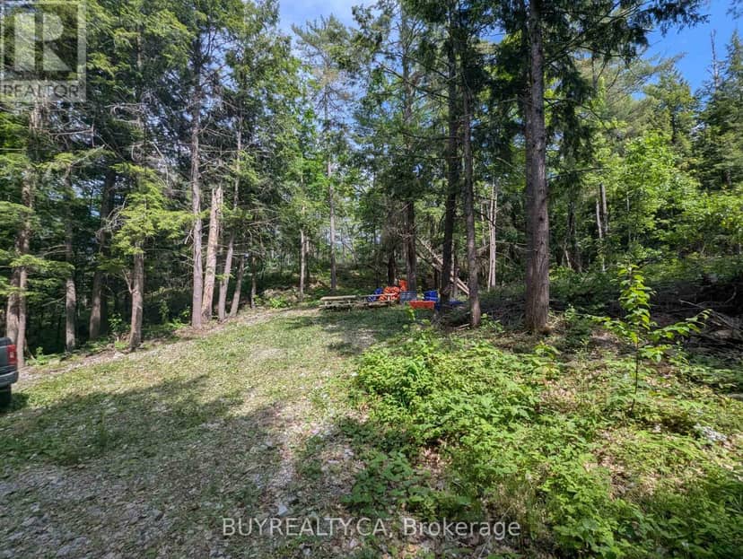 2318 Sherwood Forest Lane — photo 8 of 24