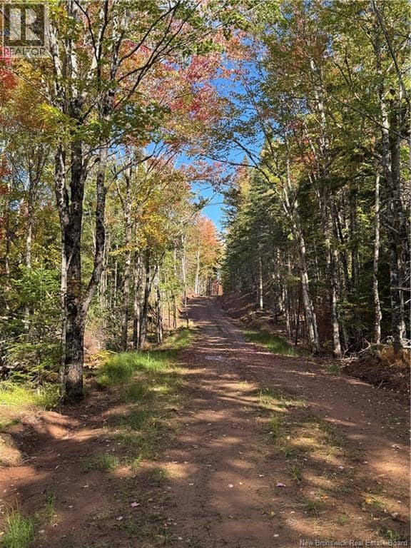 Lot rue Principale — photo 6 of 10