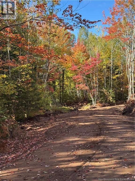 Lot rue Principale — photo 7 of 10
