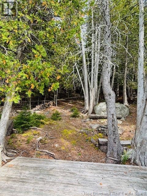 Hills Point Road Oak Bay — photo 10 of 16