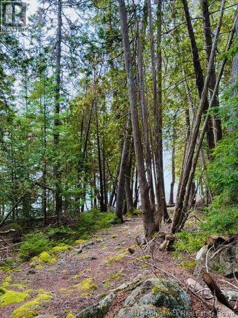 Hills Point Road Oak Bay — photo 6 of 16