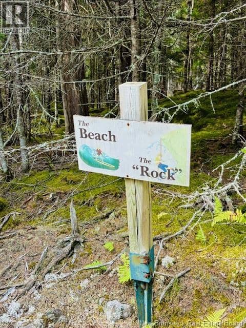 Hills Point Road Oak Bay — photo 7 of 16