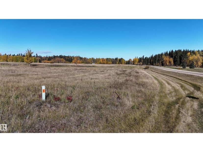 #9 49505 RR 80, Rural Brazeau County, photo 3