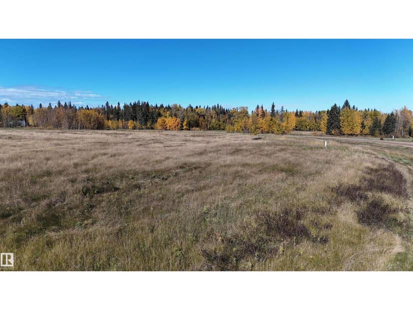 #208 49505 RR 80, Rural Brazeau County, photo 3