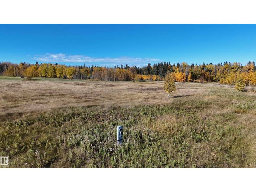 #208 49505 RR 80, Rural Brazeau County, photo 5