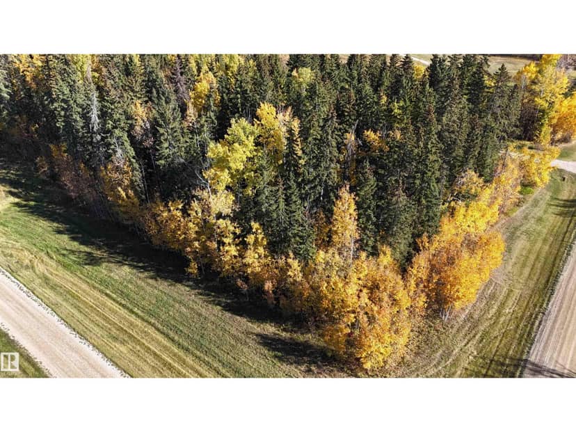 #111 49505 RR 80, Rural Brazeau County, photo 3