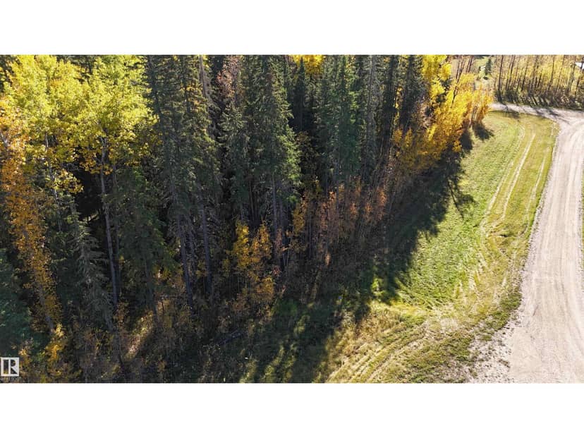 #111 49505 RR 80, Rural Brazeau County, photo 4