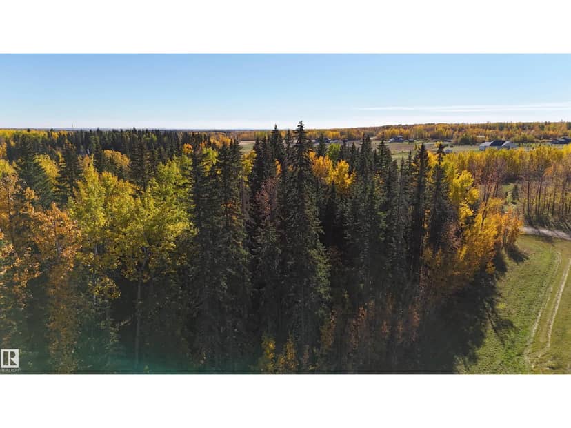 #111 49505 RR 80, Rural Brazeau County, photo 5