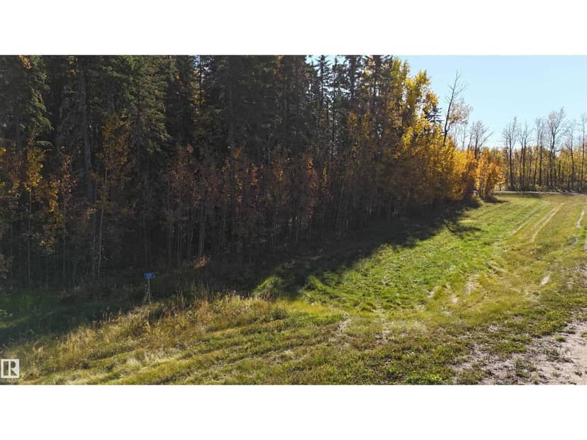 #111 49505 RR 80, Rural Brazeau County, photo 6