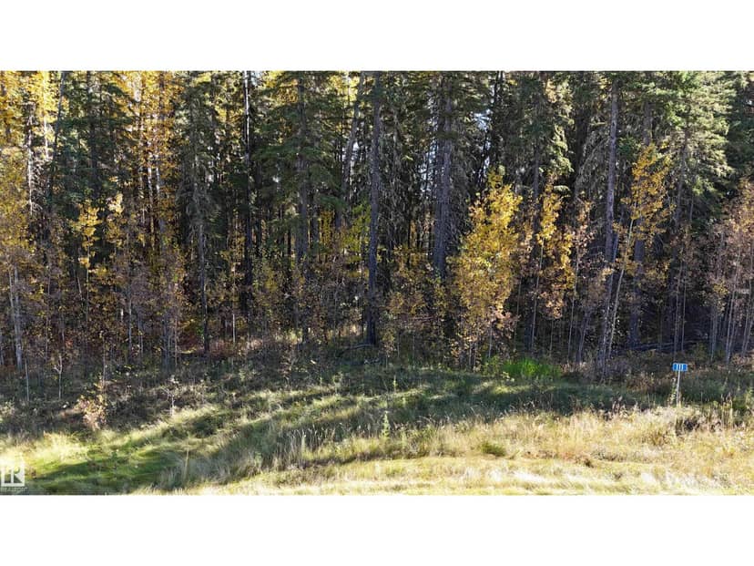 #111 49505 RR 80, Rural Brazeau County, photo 7