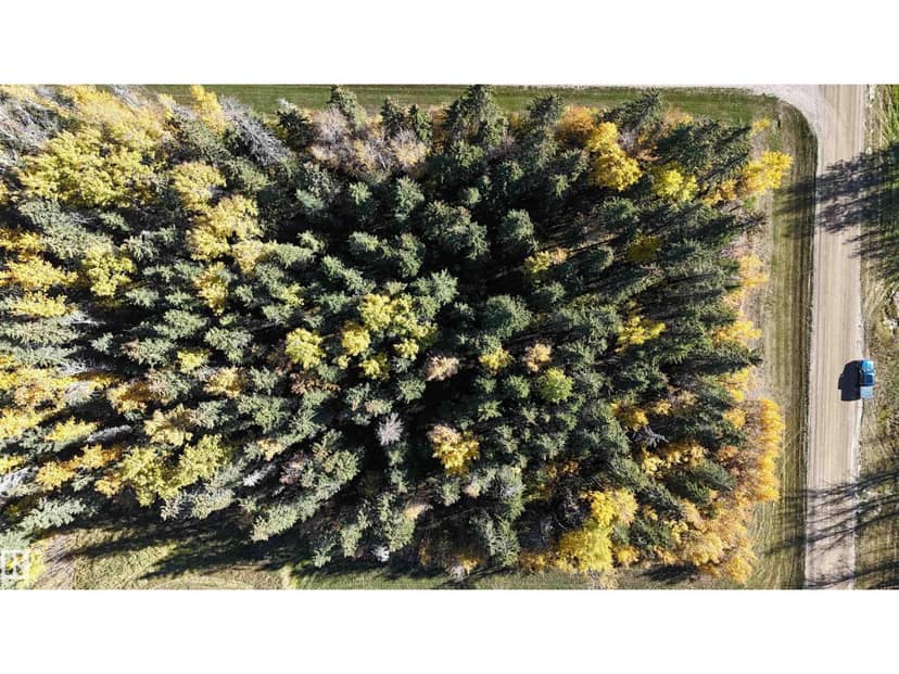 #111 49505 RR 80, Rural Brazeau County, photo 8