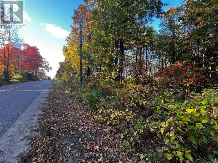 Lot 0 Bellamy Road — photo 1 of 5