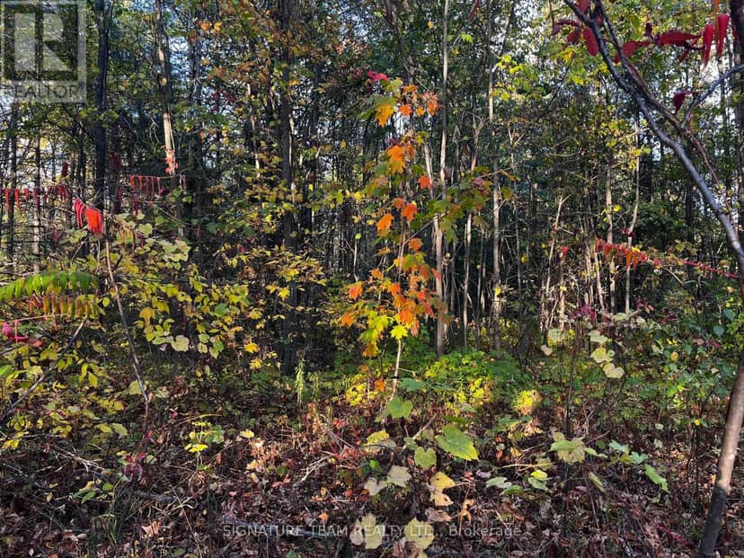 Lot 0 Bellamy Road — photo 2 of 5