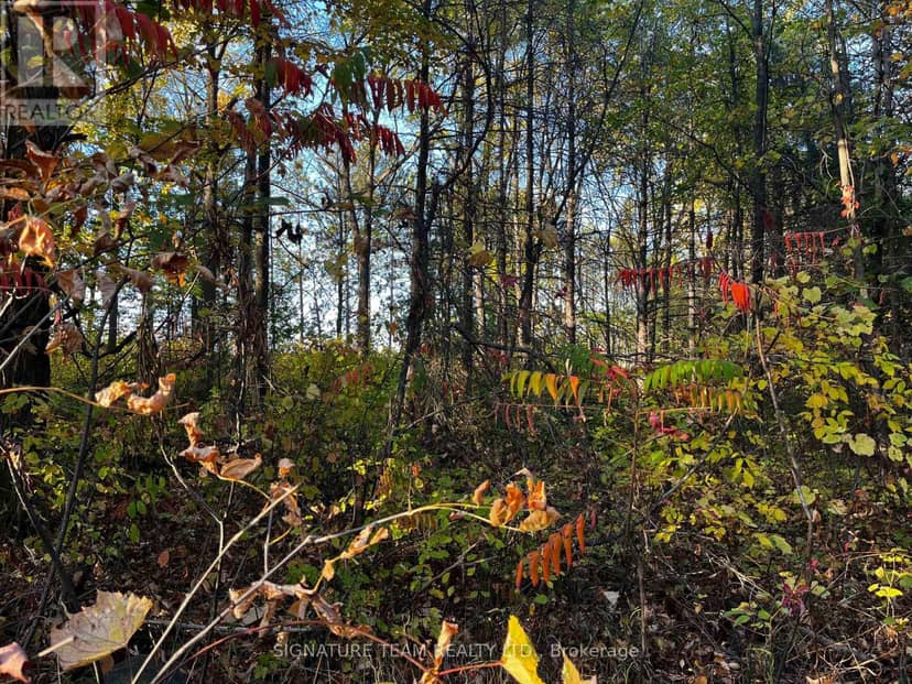 Lot 0 Bellamy Road — photo 3 of 5