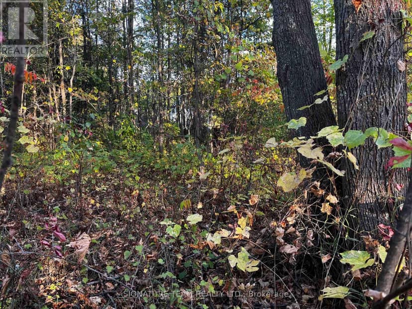Lot 0 Bellamy Road — photo 4 of 5