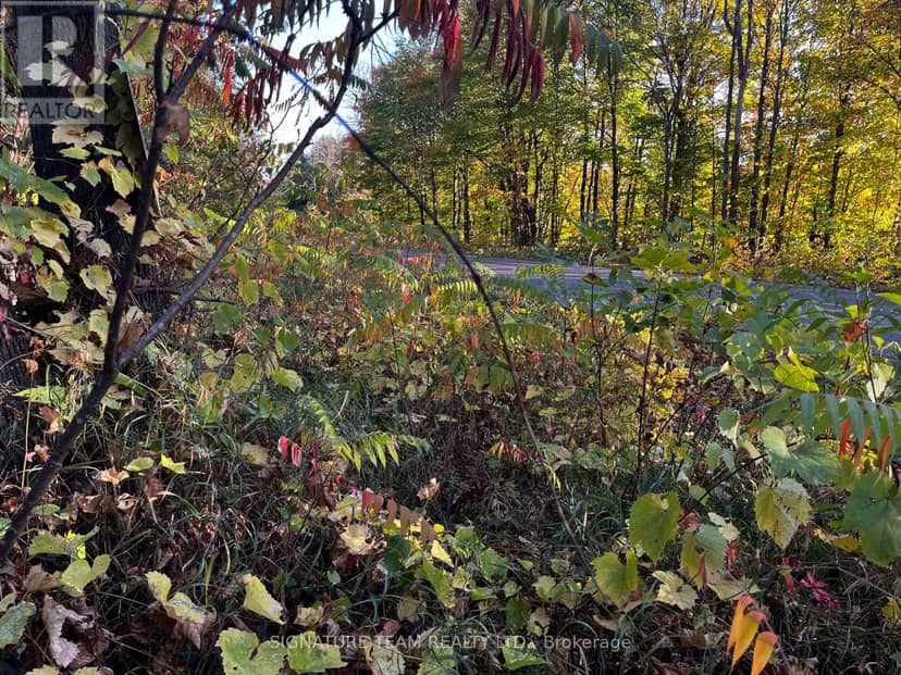 Lot 0 Bellamy Road — photo 5 of 5