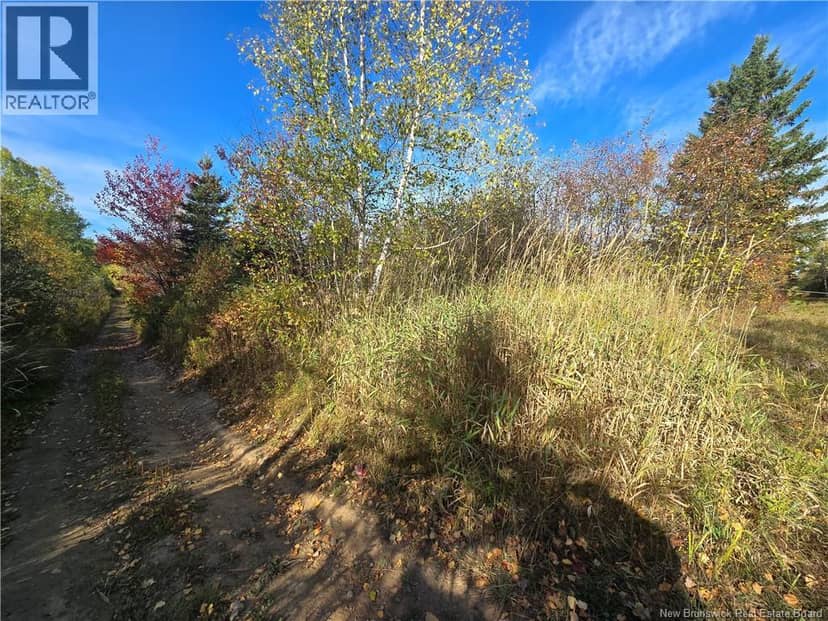 14.97 acres Chemin Saulnier Ouest — photo 2 of 7