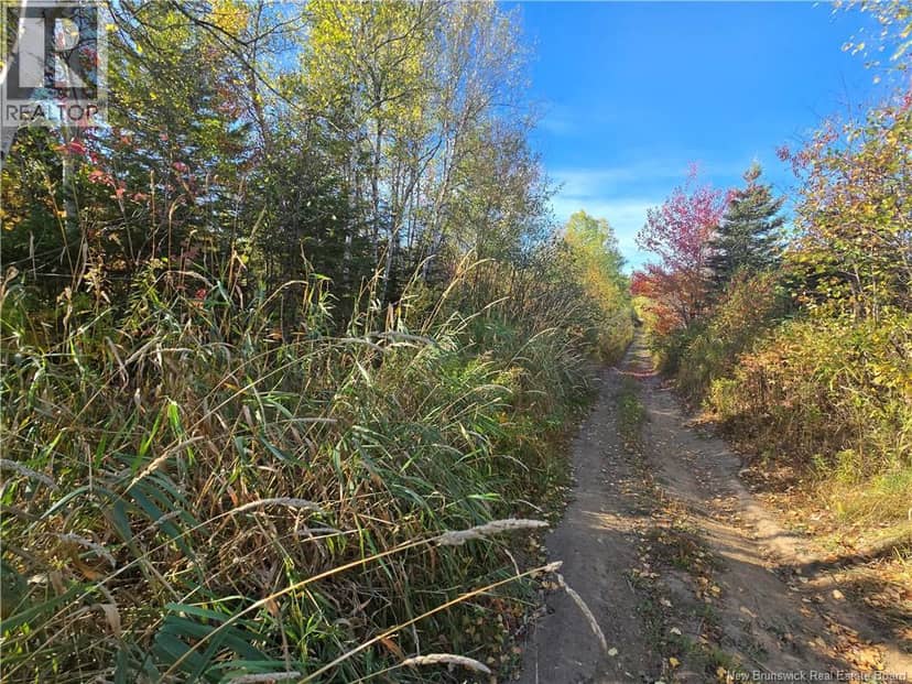 14.97 acres Chemin Saulnier Ouest — photo 7 of 7