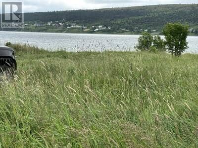 6-8 Old Water Street, Harbour Grace, photo 5