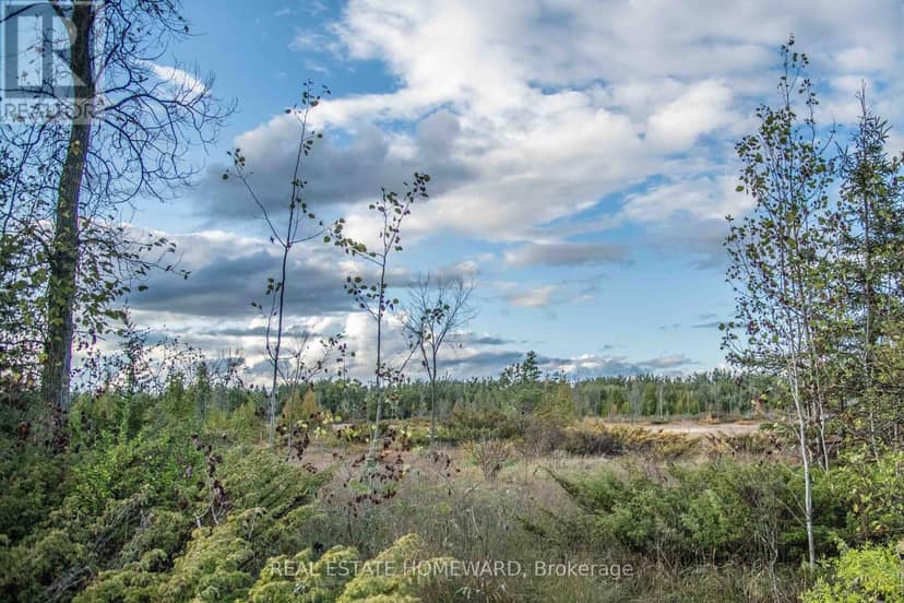 Lot 254 McGuire Beach Road — photo 1 of 21