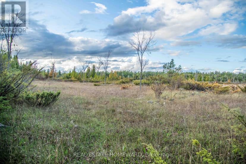 Lot 254 McGuire Beach Road — photo 3 of 21
