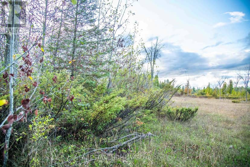 Lot 254 McGuire Beach Road — photo 4 of 21