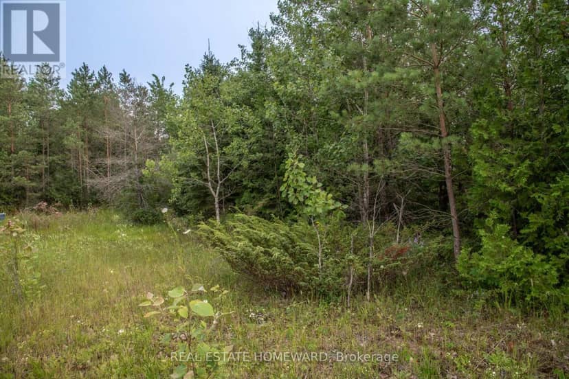 Lot 256 McGuire Beach Road, Kawartha Lakes, photo 7