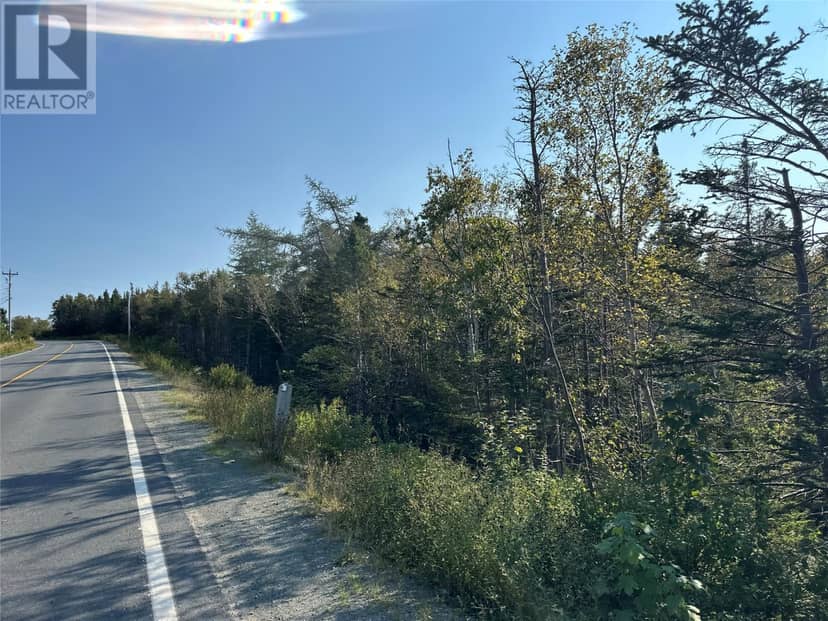 195 Conception Bay Highway — photo 1 of 25
