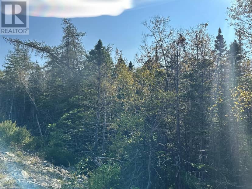 195 Conception Bay Highway — photo 12 of 25