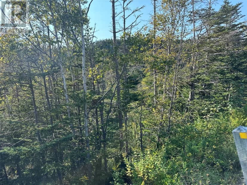 195 Conception Bay Highway — photo 13 of 25