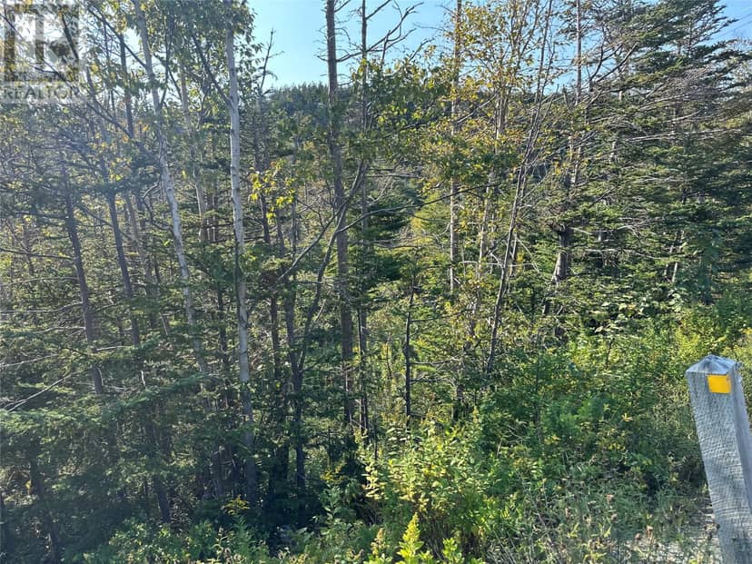 195 Conception Bay Highway — photo 14 of 25