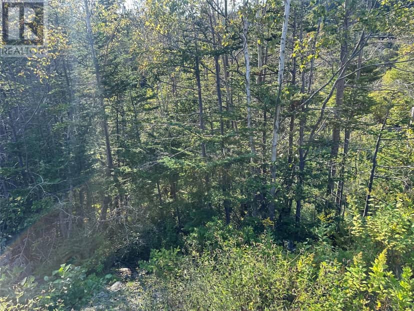 195 Conception Bay Highway — photo 15 of 25