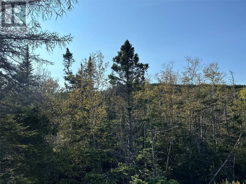 195 Conception Bay Highway — photo 18 of 25