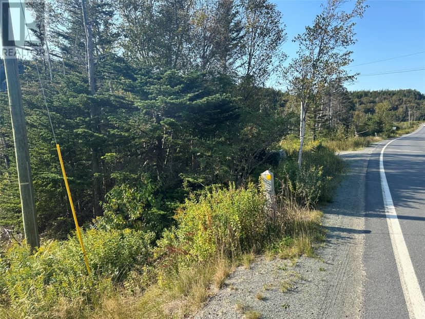 195 Conception Bay Highway — photo 2 of 25