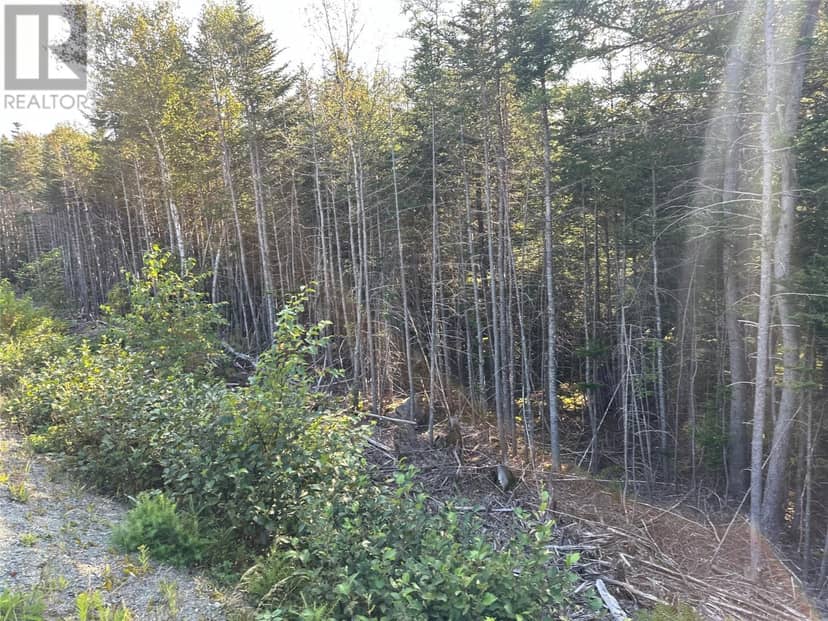 195 Conception Bay Highway — photo 23 of 25