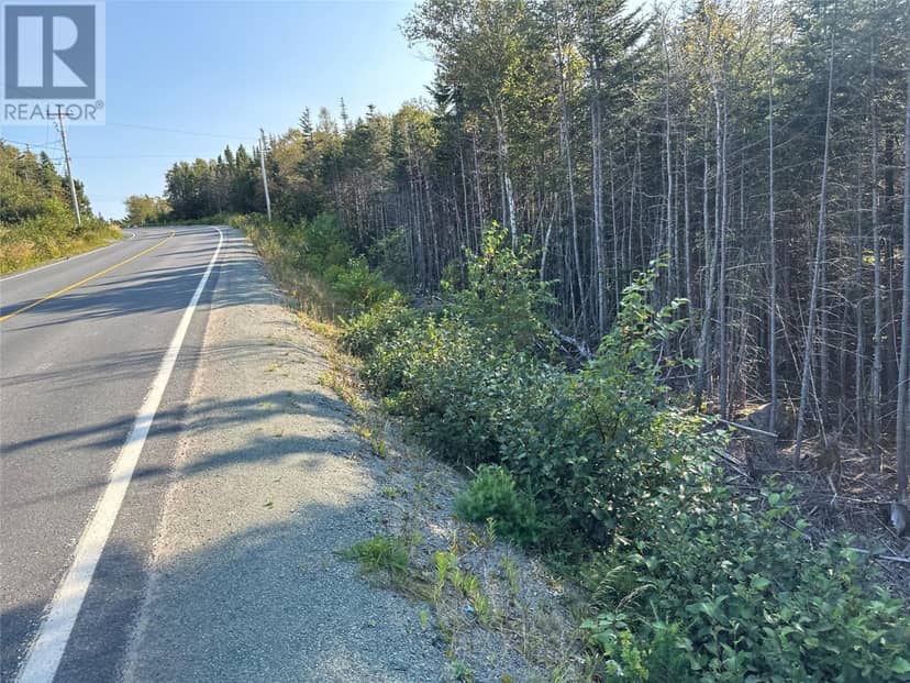 195 Conception Bay Highway — photo 24 of 25