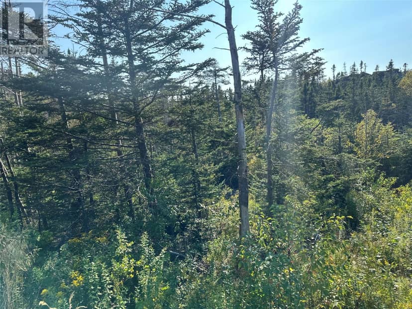 195 Conception Bay Highway — photo 3 of 25