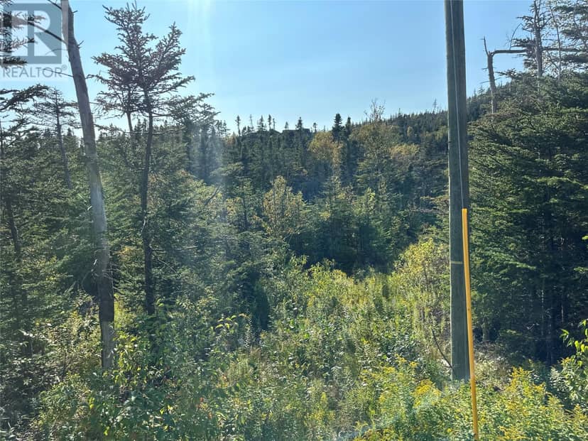 195 Conception Bay Highway — photo 4 of 25