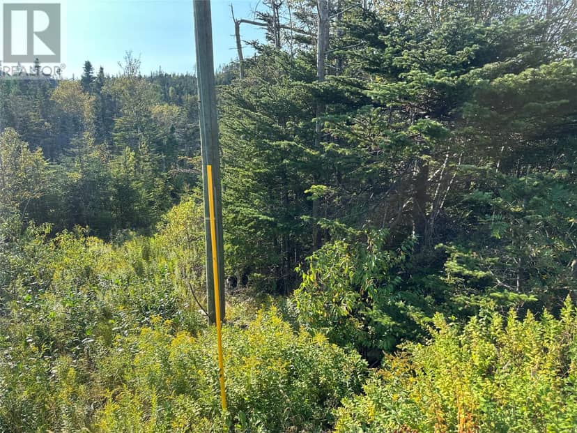 195 Conception Bay Highway — photo 5 of 25
