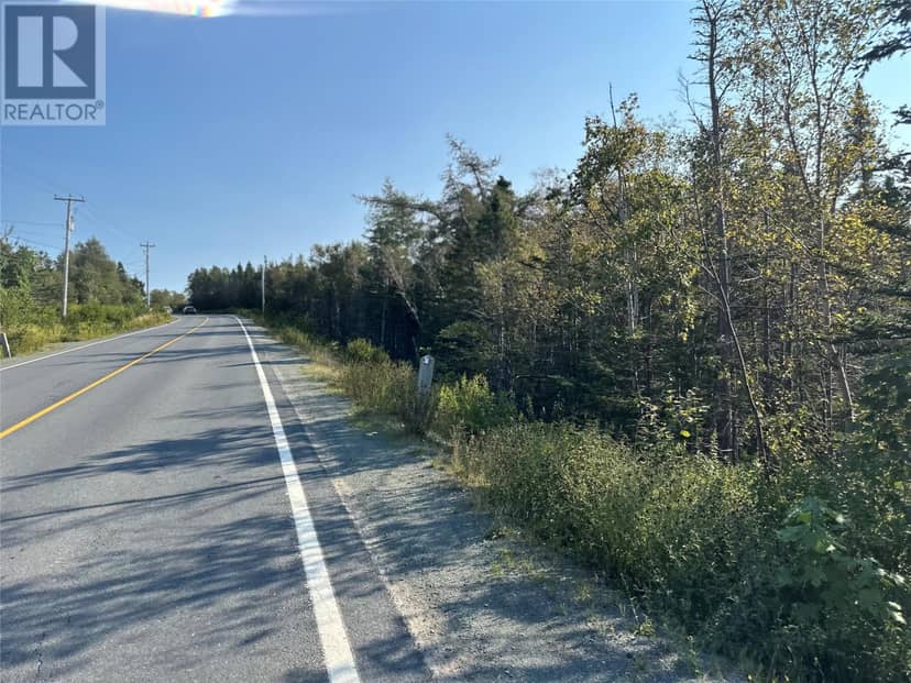195 Conception Bay Highway — photo 7 of 25