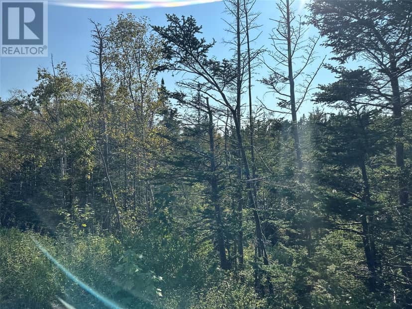 195 Conception Bay Highway — photo 8 of 25