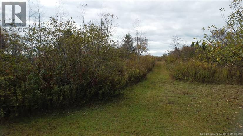 Lot Sam Hatt Road — photo 3 of 32