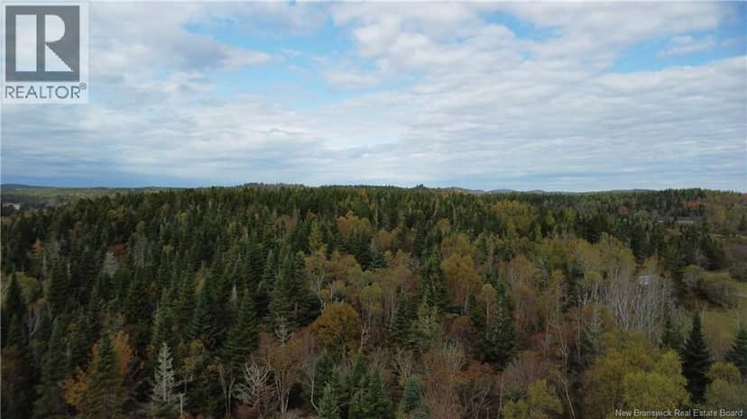 Lot Sam Hatt Road — photo 6 of 32