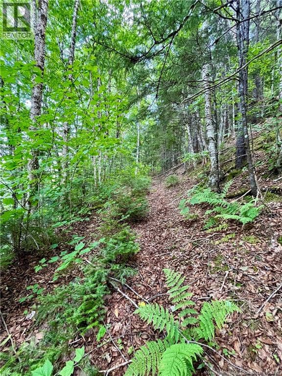 241 Route 107 — photo 10 of 40