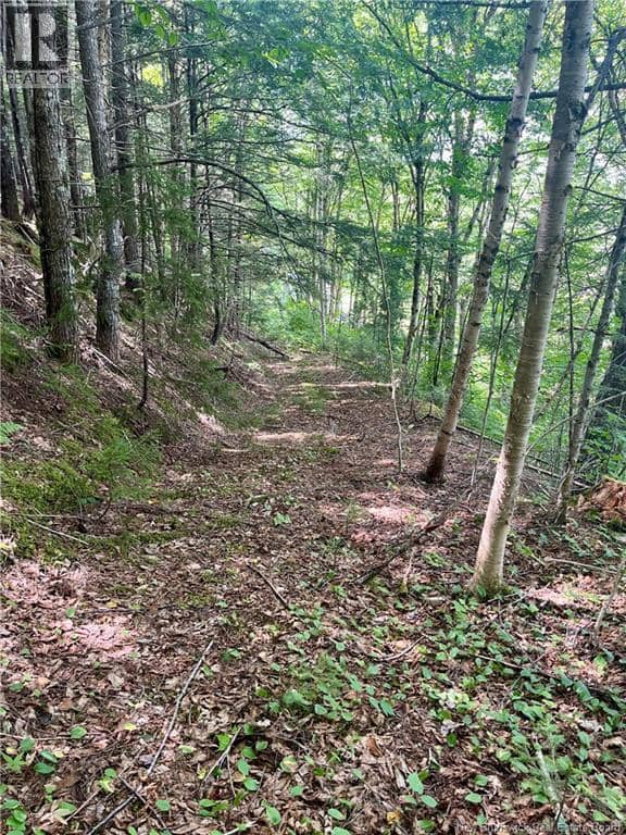 241 Route 107 — photo 11 of 40