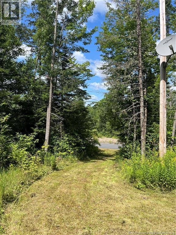 241 Route 107 — photo 17 of 40