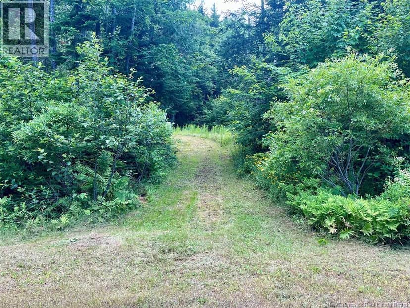 241 Route 107 — photo 19 of 40