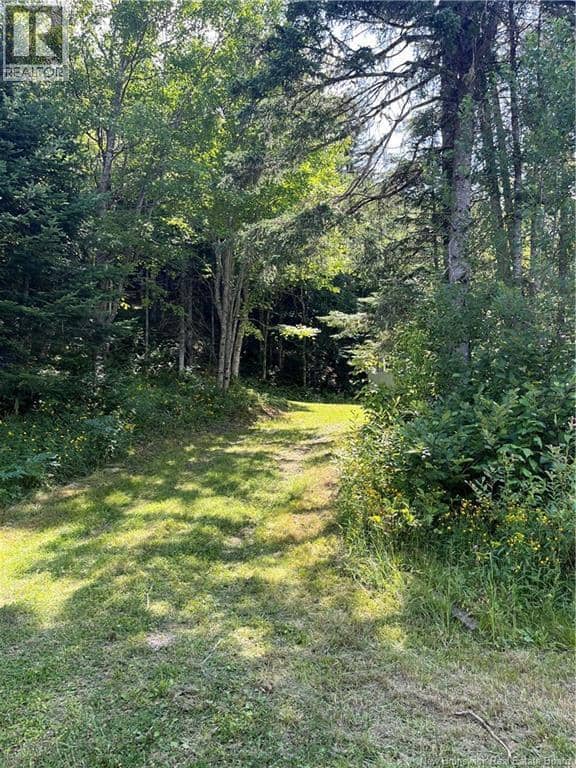 241 Route 107 — photo 7 of 40