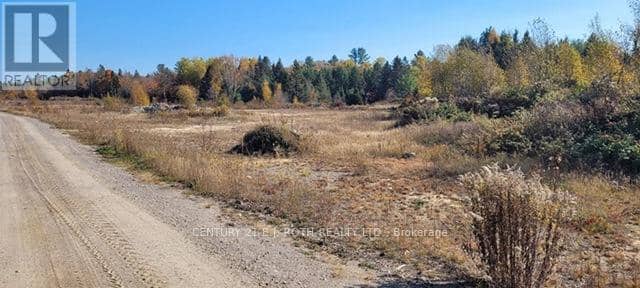 Pt Lt 147 Con A Lount Rye Rye Road — photo 4 of 29